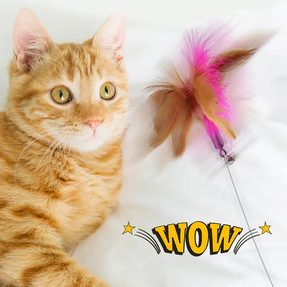 Interactive Cat Toys