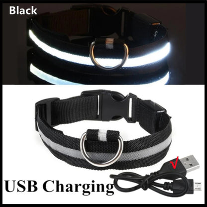 USB Rechargeable Luminous Collar