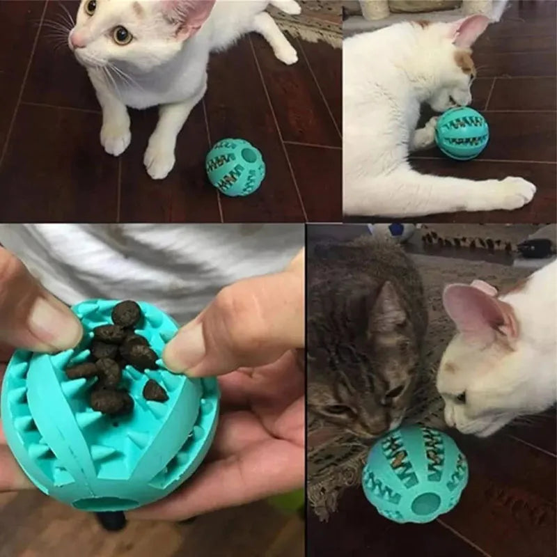 Toy Ball For Dog