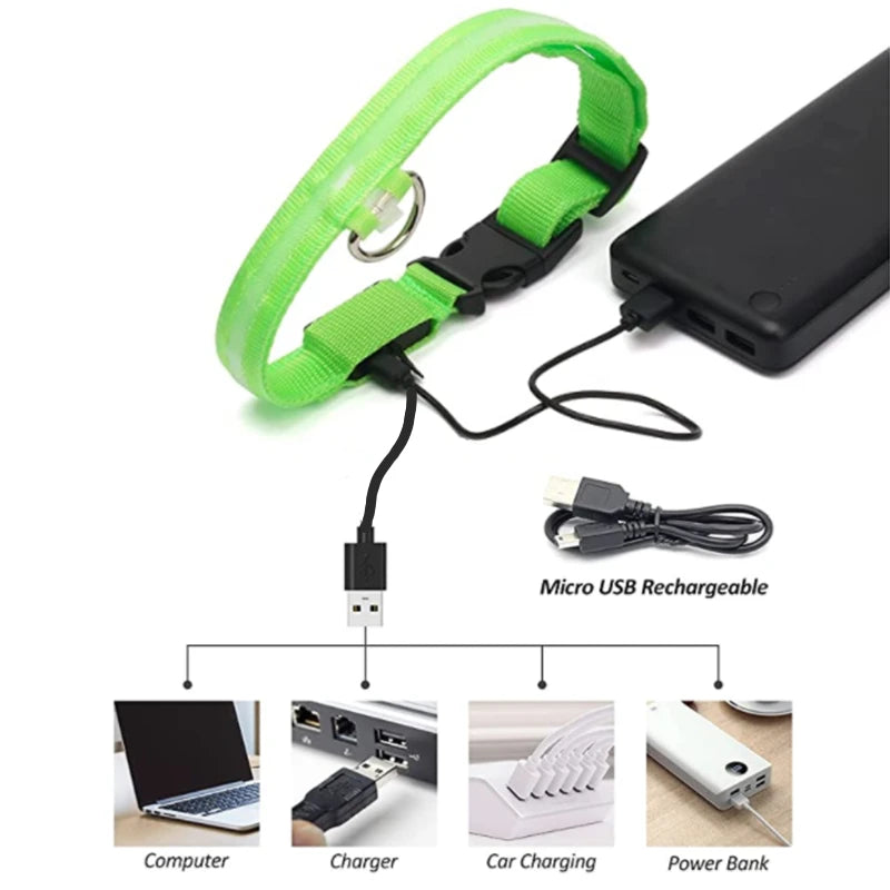 USB Rechargeable Luminous Collar