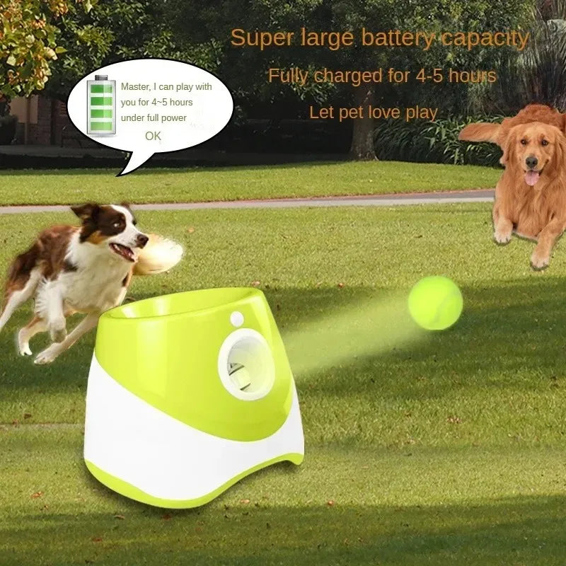 Dog  Automatic Ball Launcher