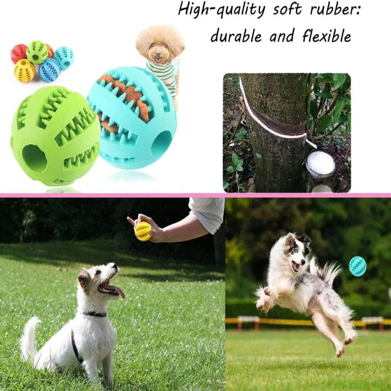 Toy Ball For Dog