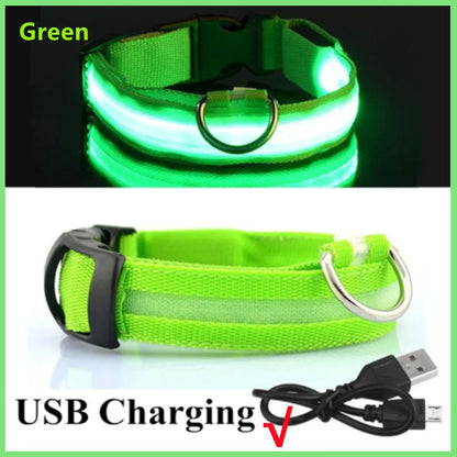 USB Rechargeable Luminous Collar