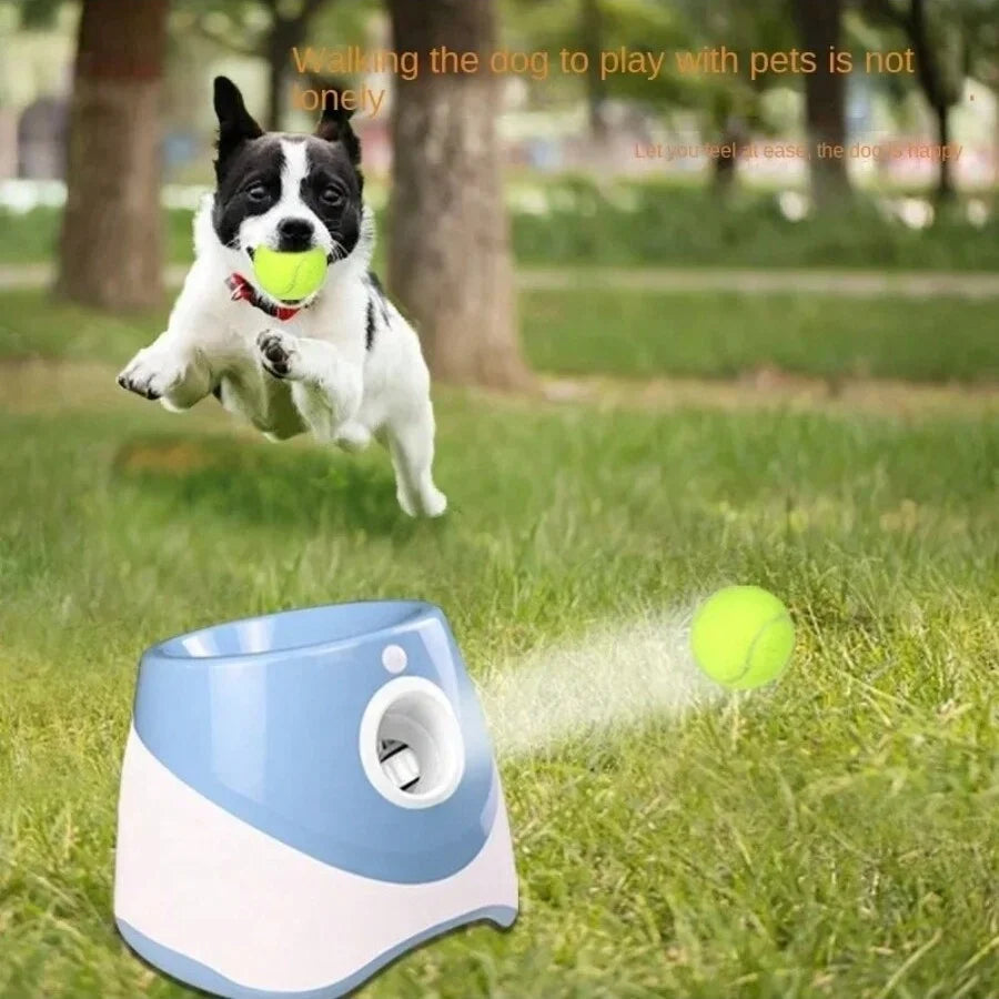 Dog  Automatic Ball Launcher